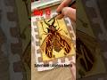 Day 13 Sabertooth Longhorn Beetle! They may be woodboring but they’re not boring! #wildlife #bugtime