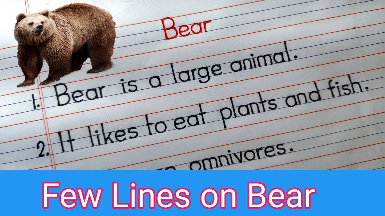 essay on bear