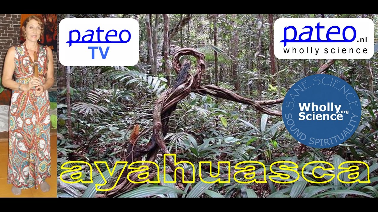 Pateo TV with Hannah Klautz on Ayahuasca