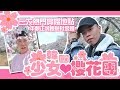 韓國少女心櫻花團🌸三大熱門賞櫻地點，平靚正烤鰻魚店？鐘路三街布帳馬車，仁川江華島Luge斜坡滑車，黃色炸雞，汝矣島，石村湖，一山湖水公園，春川辣炒雞排