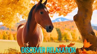 Beautiful Autumn Ambience with Relaxing Music, Soothing and Peaceful Instrumental Music