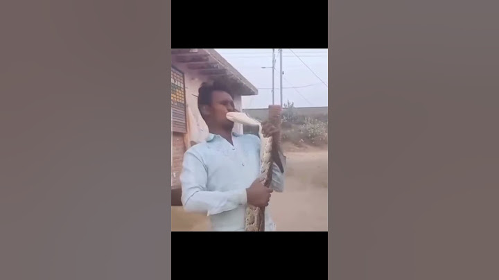 gjarpri ngelet  gjarpër sa më afër t'a mbash aq më afër ke vdekjen prandaj zgjidh kë mban pranë