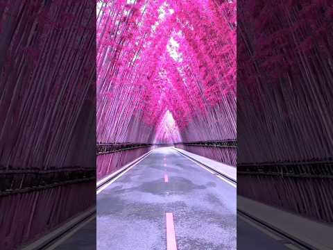 places on earth that don't feel real #asthetic #nature