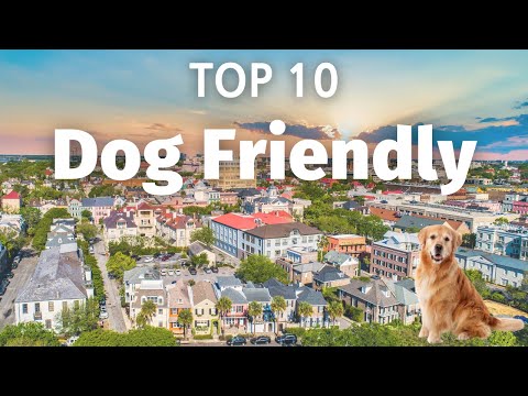 Top 10 Best Dog Friendly Vacations (Places to take Your Dog) - Travel Video