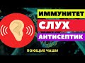 ВОССТАНОВЛЕНИЕ СЛУХА, УКРЕПЛЕНИЕ ИММУНИТЕТА ЗВУКОМ ТИБЕТСКИХ ЧАШ + МАТРИЦА