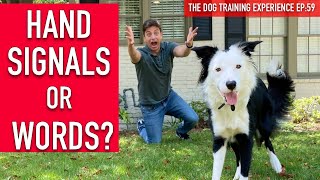 How to Train Your Dog to UNDERSTAND HAND SIGNALS and WORDS!