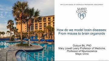 How to Model Brain Diseases: From Mouse to Brain Organoids by Guojun Bu, PhD | Preview