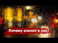 Почему перед и во время дождя хочется спать?