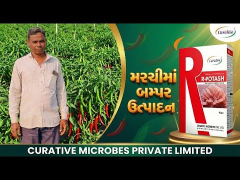 R-potash in chilli