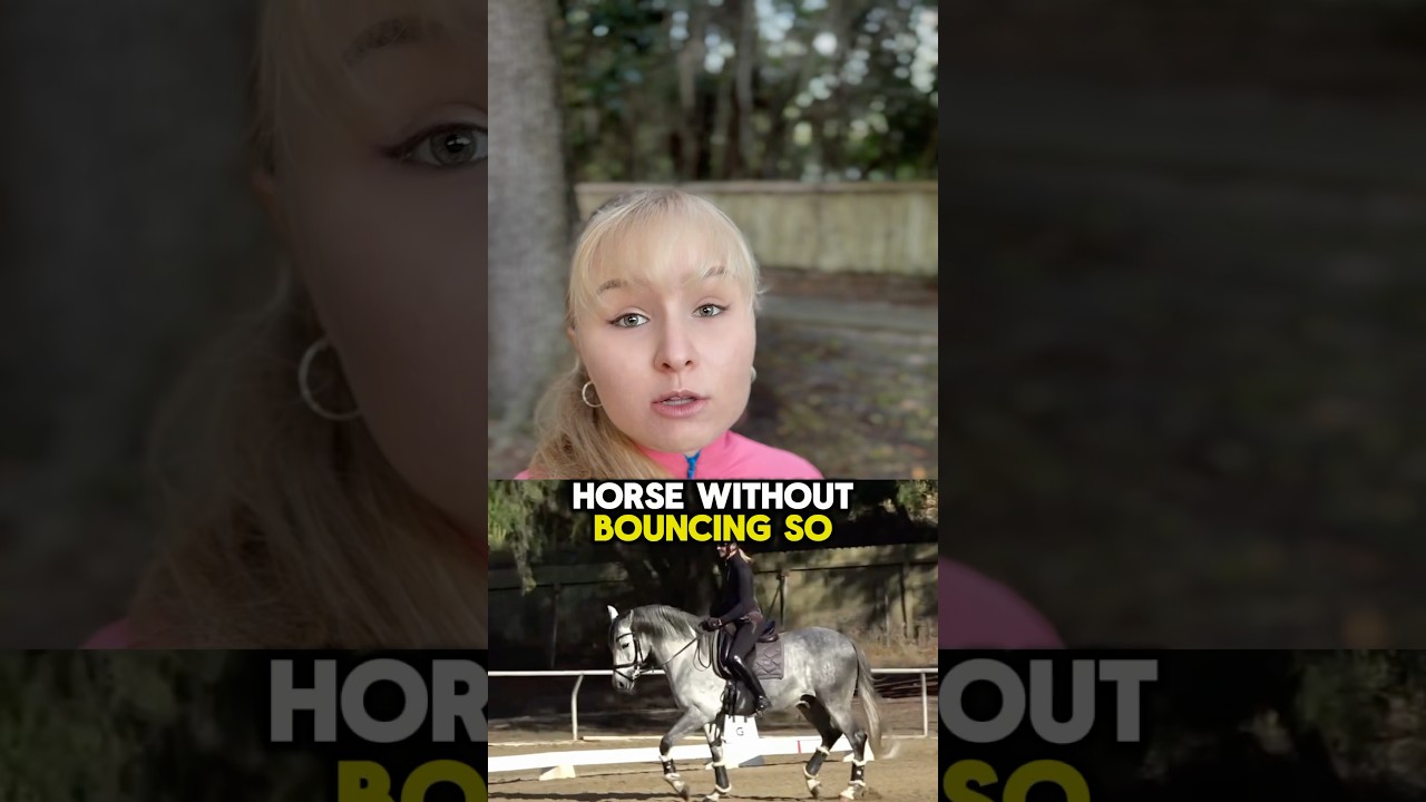 Как сидеть на любой лошади на рыси, не подпрыгивая 