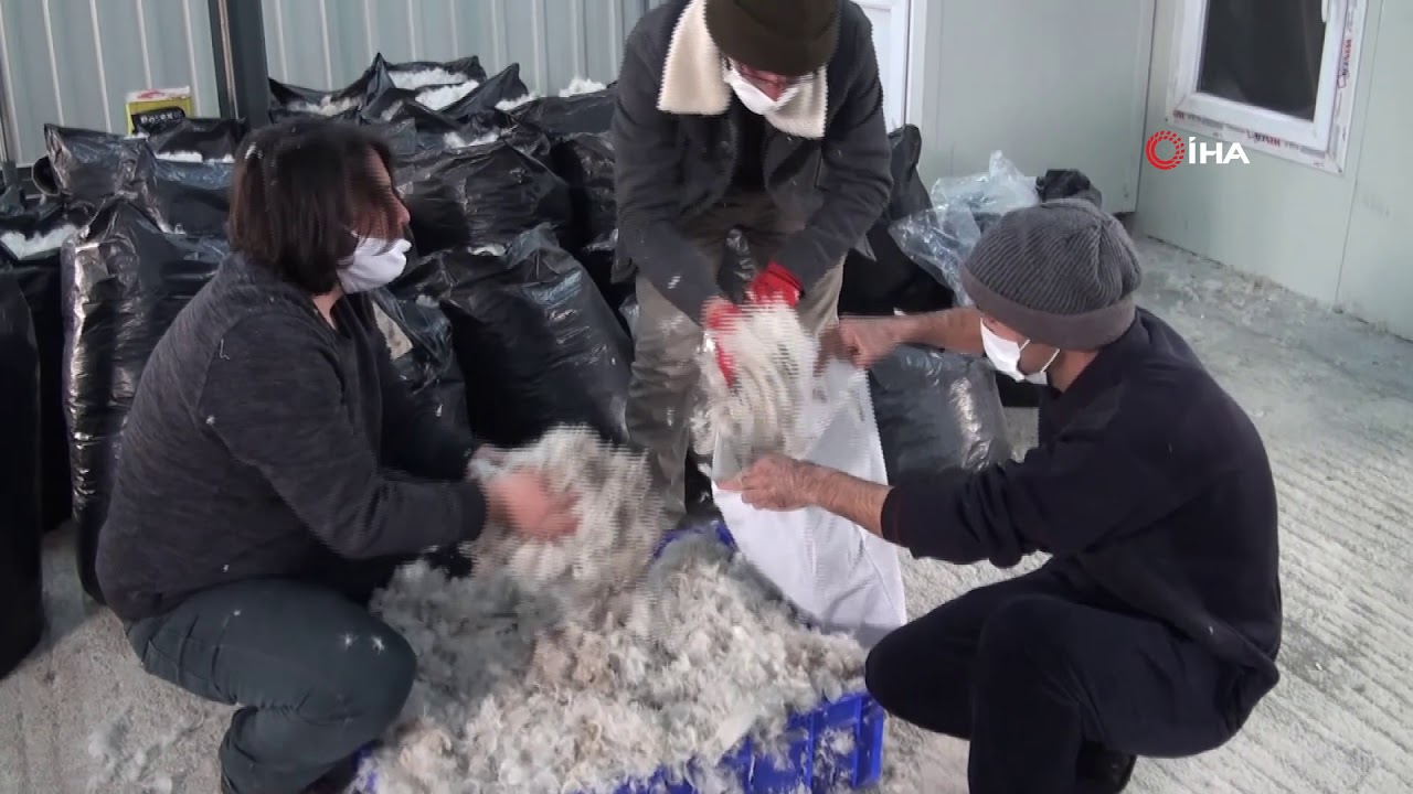 Yozgat'ta üretilen kaz tüyü Avrupa'ya ihraç ediliyor - YouTube