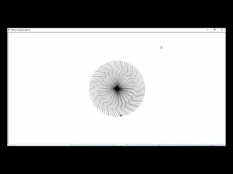 Ninja Design Using Python | Turtle Project