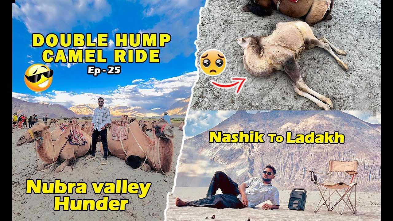 Camel🐫 Ke Sat Huva Bahut Bura🥲 | Hunder Double🐫 Hump Camel Ride Or Masti | 😍 NASHIK TO LADKAHFROM
