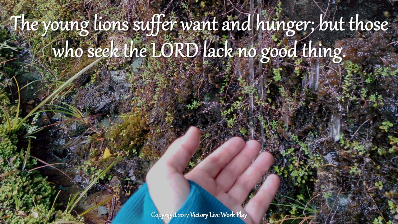 20170306 Psalm 34: 10 (silent video)