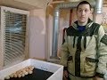 Инкубатор Несушка на 104 яйца  Итоги инкубации  Февраль 2020
