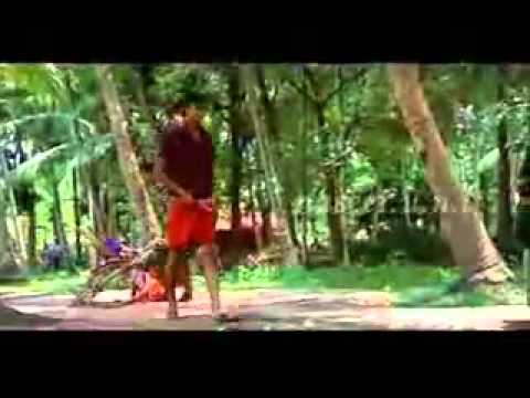 saleem-kodathoor-new-malayalam-mappila-album-songs-youtube