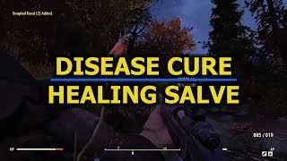Disease Cure/Healing Salve - Quick Ingredients GUIDE - Fallout 76