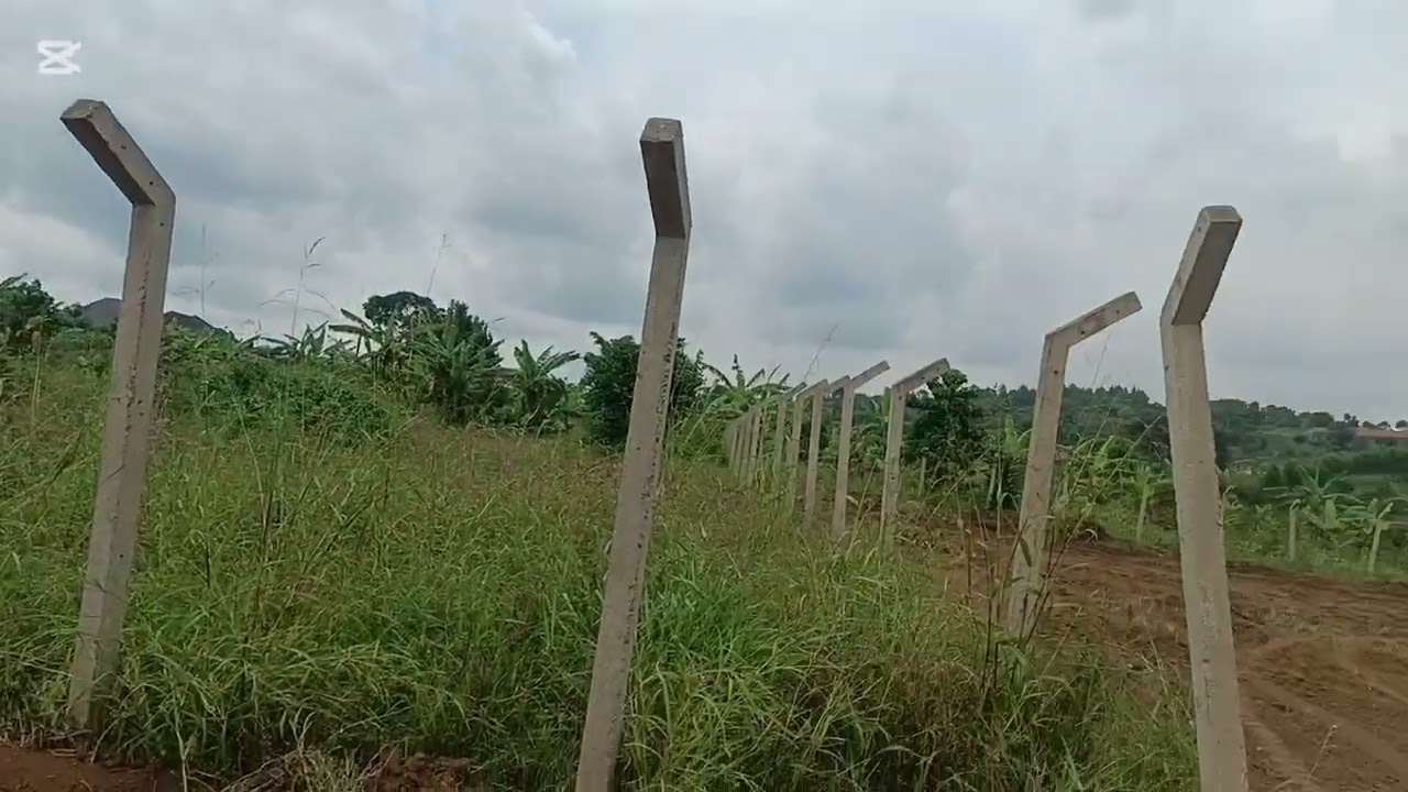 WAKISO BANDA WANO KU HOIMA ROAD SITE ENO WESANGIBWA 