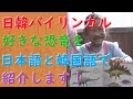 【日韓バイリンガル】好きな恐竜を日本語と韓国語で紹介します！