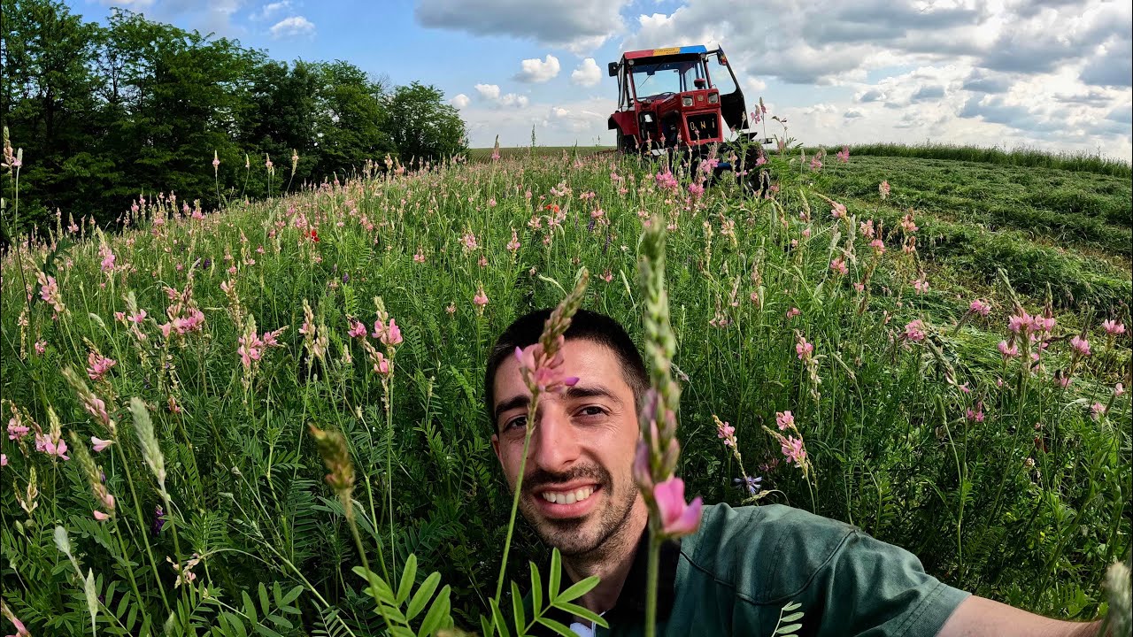 DE NECREZUT CUM ARATĂ SPARCETA!   PARTEA I