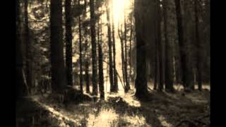 Megaherz - Freiflug