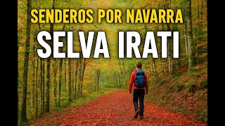 LAS 5 MEJORES RUTAS DE SENDERISMO EN NAVARRA