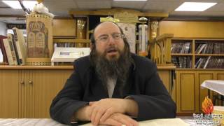הרב אברהם יצחק כרמל-רשב'י-תשע'ז