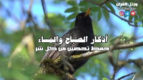 أذكار الصباح والمساء | حفظ وتحصين من كل شر ومكروه 🌻