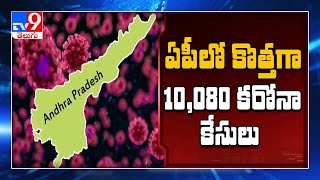 Andhra Pradesh reports 10080 new corona cases - TV9