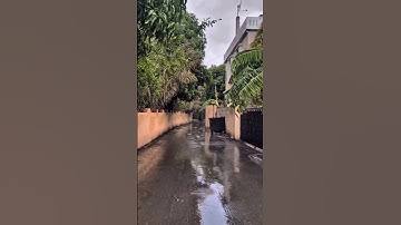 ارجوك ياربي في الدارين ترحمنا - القارئ عامر الكاظمي (طور عراقي حزين)