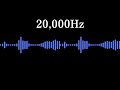 [4h] Ultrasonic Noise to Repel Mice and Rats (20,000Hz)