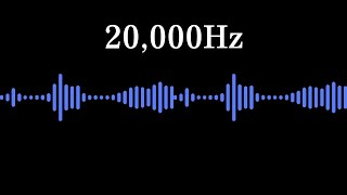 [4h] Ultrasonic Noise to Repel Mice and Rats (20,000Hz)