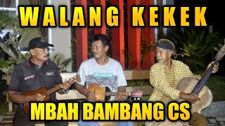 🔴 WALANG KEKEK COVER MBAH BAMBANG CS LEGEND CELLO