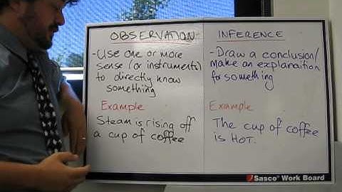 Science Skills: Observation vs Inference