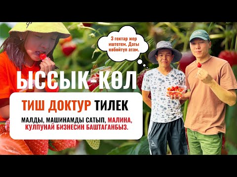 Video: Суу түтүктүн ичке дубалдарынан кантип өйдө көтөрүлөт, ал эмнеге жабышып турат?