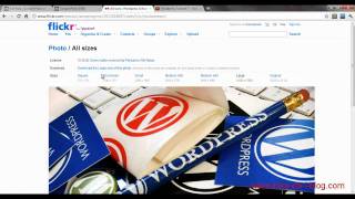Wordpress Tutorial 9 - insert image from url