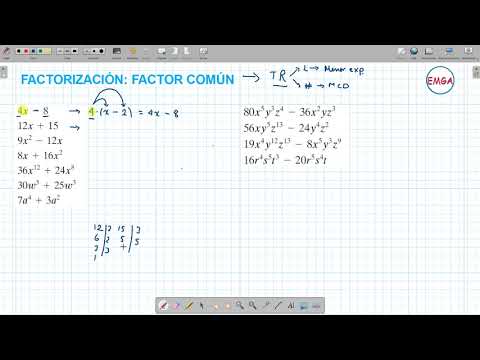 FACTOR COMUN 1