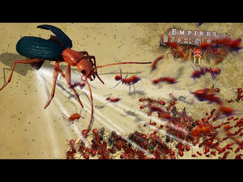 NEW FIRE ANTS ATTACK!!! | Empires Of The Undergrowth - Ep26