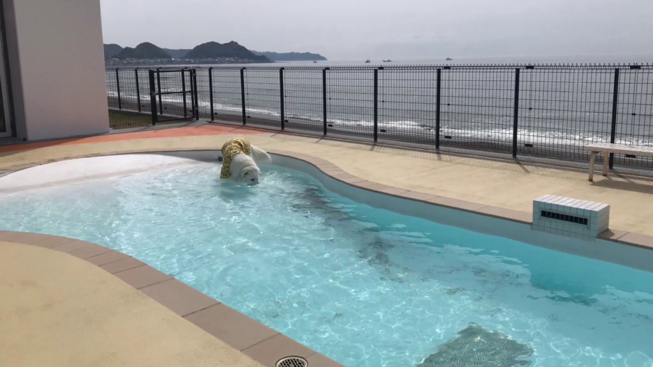 レジーナ リゾート 鴨川