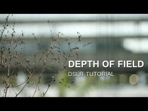 DSLR Tutorial: Depth