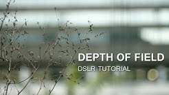 DSLR Tutorial: Depth of Field 