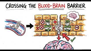 The Brain Hacker: How Taenia solium Outsmarted Evolution | Breakthrough Junior Challenge