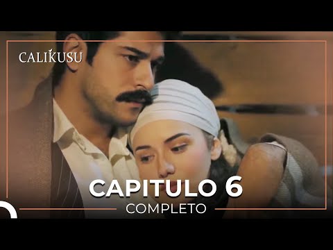 Calikusu 6 Capítulo