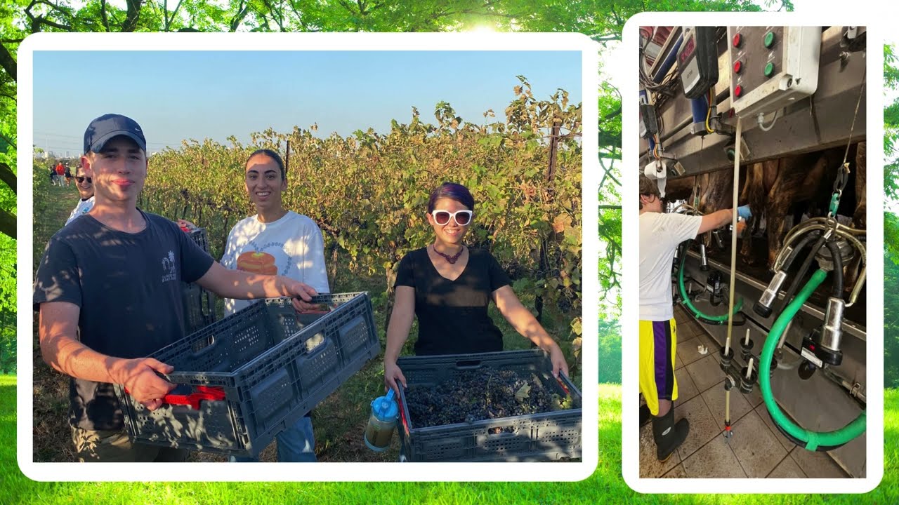 מצגת ט״ו בשבט - תשפ״ד   מקוה ישראל דתי