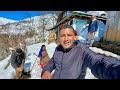 Village life in Winter at Mountains | Unseen Pakistani Village Life at Top of Coldest Mountain