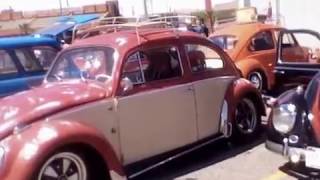 El BugO in El Paso
