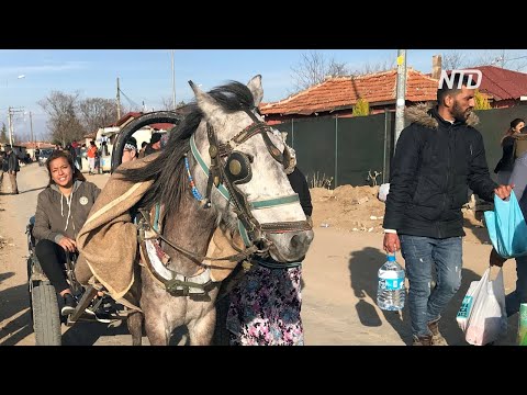 Скопление мигрантов у границы Турции и Греции принесло выгоду цыганам