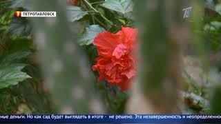 В отношении акима Петропавловска начато служебное расследование