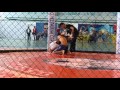 Download Бекетов Мейіржан Бекетов Мейіржан