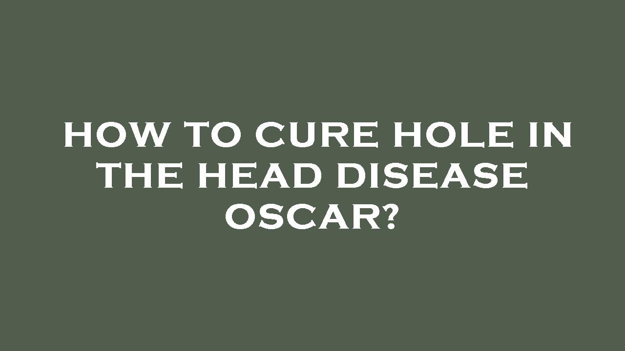 How to cure hole in the head disease oscar? YouTube